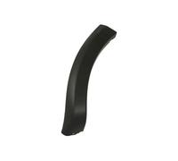 Trim/Protection Strips BLIC 5703-04-1303598P for DACIA