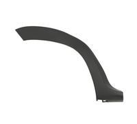 BLIC 5703-04-1305596P Trim/Protective Strip, wing for DACIA,RENAULT