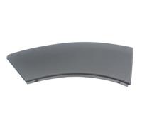 BLIC 5703-04-1305598P Trim/Protective Strip, wing for DACIA,RENAULT