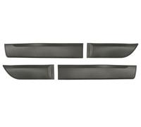BLIC 5703-04-1306570P Trim/Protective Strip, door for DACIA