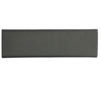 BLIC 5703-04-2092570P Door molding