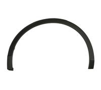 BLIC 5703-04-9588421P Trim/Protective Strip, wing for VW