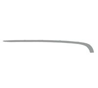 BLIC 5703-05-0075972P Bumper moulding