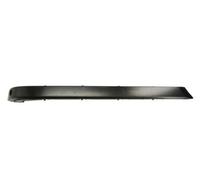 Bumper trim strip Left Rear 5703-05-0075973P BLIC for BMW 7