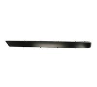 Bumper trim strip Left Rear 5703-05-0075975P BLIC for BMW 7