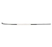 BLIC 5703-05-3527972P Trim/Protective Strip, bumper for MERCEDES-BENZ