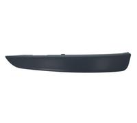 BLIC 5703-05-5063922P Trim/Protective Strip, bumper for OPEL