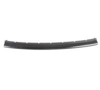 BLIC 5703-05-6033921P Bumper moulding