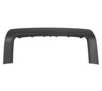 BLIC 5703-05-9060921P Number plate holder