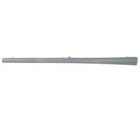 BLIC 5703-06-0027574P Inner Door-sill