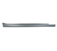 BLIC 5703-06-0067572P Inner Door-sill