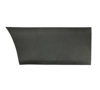 BLIC 5703-06-3082571P Door molding