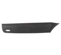 BLIC 5703-06-3547577P Trim / Protective Strip, sidewall
