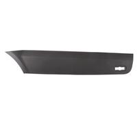 BLIC 5703-06-3547578P Trim / Protective Strip, sidewall