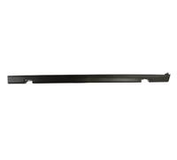 BLIC 5703-06-5023572P Bumper moulding