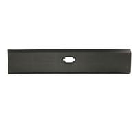 BLIC 5703-06-6089573P Trim / Protective Strip, sidewall