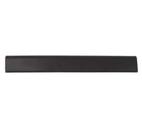 BLIC 5703-06-6089575P Door molding
