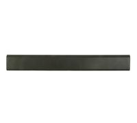 BLIC 5703-06-6089576FP Trim/Protective Strip, sidewall for NISSAN,OPEL,RENAULT