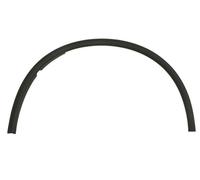 BLIC 5703-08-0926371P Trim/Protective Strip, wing for DODGE