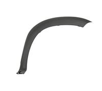BLIC 5703-08-1305378P Trim/Protection Strip, wing for DACIA,RENAULT