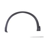 BLIC 5703-08-1617377P Trim/Protective Strip, wing for NISSAN