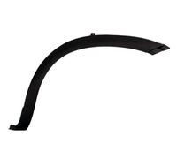 BLIC 5703-08-3081372P Trim/Protective Strip, wing for ,IVECO