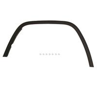 BLIC 5703-08-3206372P Trim/Protective Strip, wing for JEEP