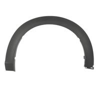 BLIC 5703-08-3493371P Trim/Protective Strip, wing for MAZDA