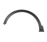 BLIC 5703-08-6003373P Trim/Protective Strip, wing for RENAULT