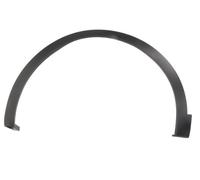 BLIC 5703-08-6090375P Trim/Protective Strip, wing for RENAULT