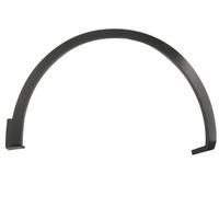 BLIC 5703-08-6090376P Trim/Protection Strip, wing for RENAULT