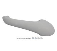 BLIC 6010-02-031409PPP Door Handle
