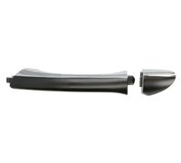 BLIC 6010-02-034403P Door Handle
