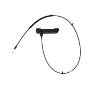 BLIC 6010-03-031410WP Door Handle