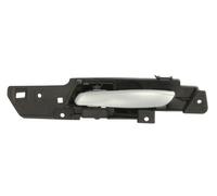 BLIC 6010-05-022409TP Door Handle