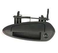 BLIC 6010-07-036401P Door Handle