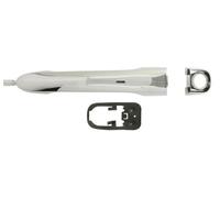 BLIC 6010-07-040401PPP Door Handle