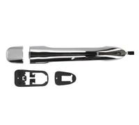 BLIC 6010-07-040402PPP Door Handle