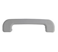 BLIC 6010-09-030411P Door Handle