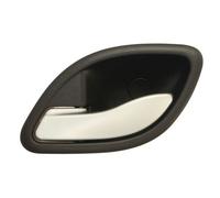 BLIC 6010-09-040409PP Door Handle