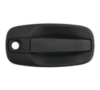 BLIC 6010-09-041410PP Door Handle