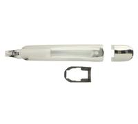 BLIC 6010-10-010402PP Door Handle