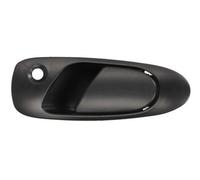 BLIC 6010-12-017401P Door Handle