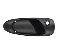 BLIC 6010-12-017402P Door Handle