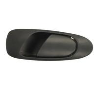 BLIC 6010-12-017403P Door Handle