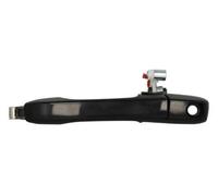 BLIC 6010-12-046401P Door Handle