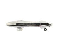 BLIC 6010-12-051403P Door Handle