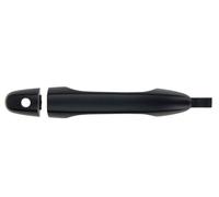 BLIC 6010-12-052401P Door Handle