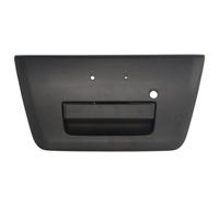 Fits BLIC 6010-16-038417P Door handle external Rear 6010-16-038417P N ⭐UK Stock⭐