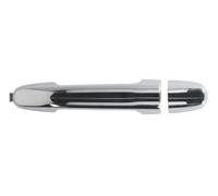 BLIC 6010-19-059402PP Door Handle